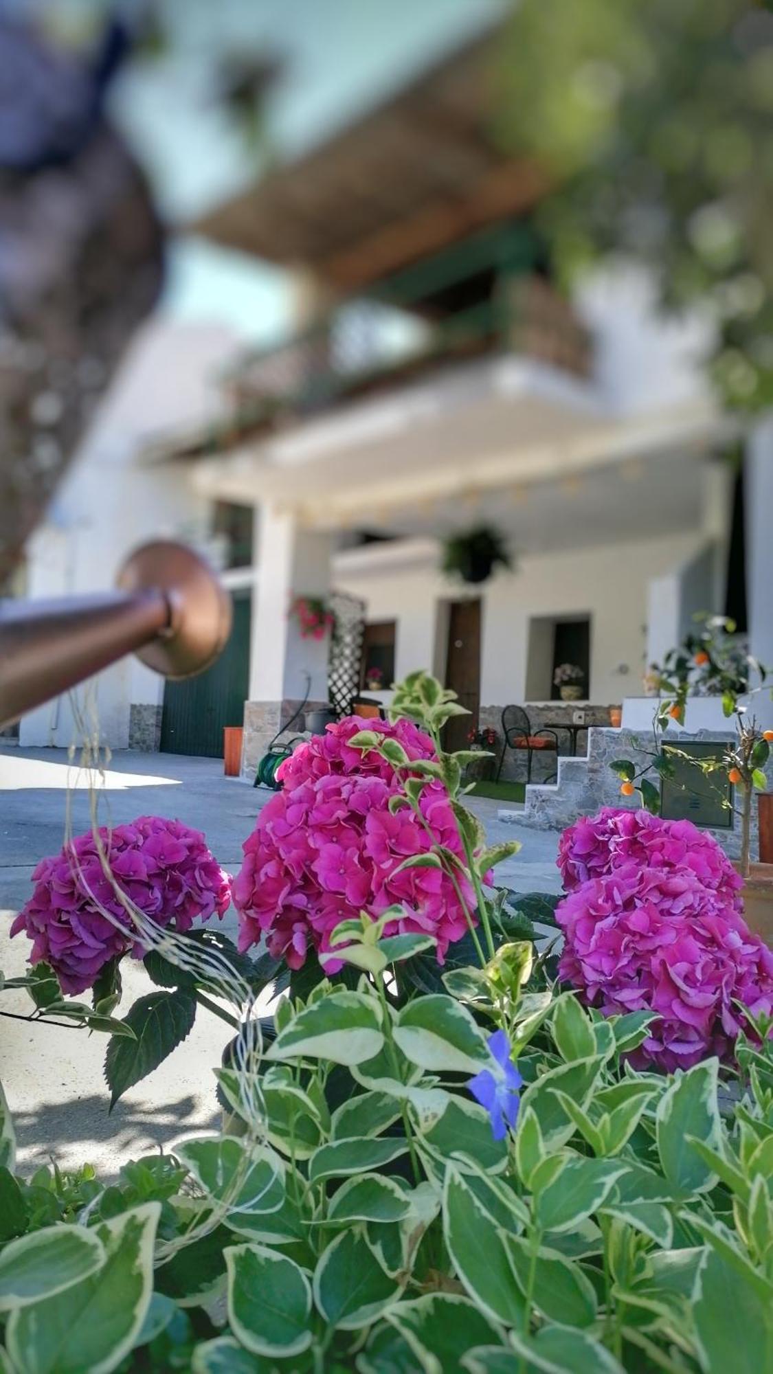 La Casa De La Abuela * Pinos Genil