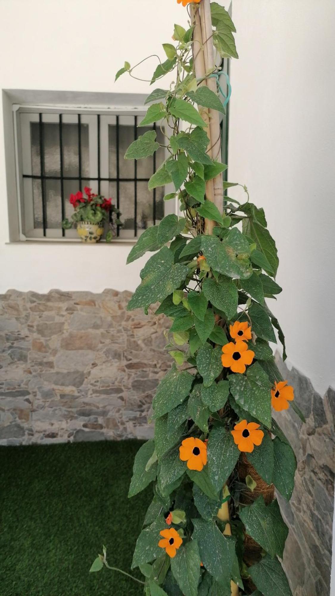 La Casa De La Abuela Apartment